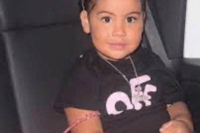 “Catleya: La Maravillosa Fusión de Belleza y Arte Natural que Te Dejará Sin Palabras”