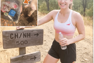 Dos años después, un cerdo trufero revela el oscuro secreto de una corredora desaparecida en Napa