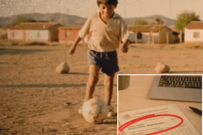 Niño desaparecido en 1987; 33 años después su nombre aparece en escuela