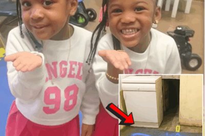 “Gemelos desaparecen misteriosamente en guardería, 3 años después se revela una verdad aterradora”