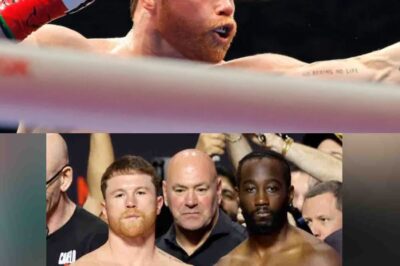 No lo perdió todo Canelo Álvarez ! Conoce la fortuna que recibió