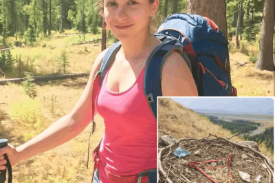 Once meses después, un nido de águila revela el misterio de un joven excursionista desaparecido