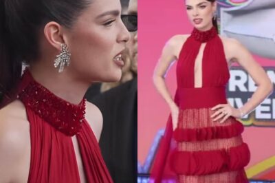 ¿Nadia Ferreira será la nueva presentadora de Despierta América?