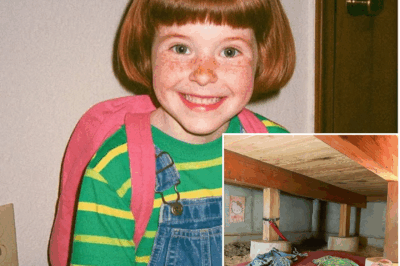 Niña desaparece camino a la escuela: Ocho años después, electricistas descubren un secreto escalofriante bajo el suelo