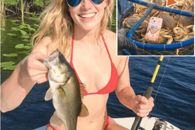 Un año después, un pescador descubre el inquietante destino de la bloguera perdida en los Everglades
