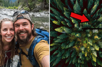 Pareja desaparece misteriosamente en el Parque Olímpico: 5 años después, un dron revela una verdad aterradora