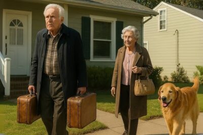 LOS ABUELOS ESCAPARON DE LA CASA FAMILIAR A MEDIANOCHE… AL ESCUCHAR EL PLAN SINIESTRO DE LA NUERA