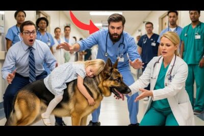 Un pastor alemán K9 lleva a una niña al hospital. Nadie podía creer lo que pasó después.