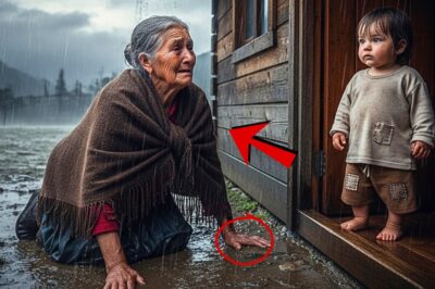Niño abandonado dio refugio a una anciana en cabaña… y al día siguiente ella compró todas las tierra