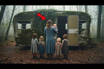 La Viuda Se Mudó Al Remolque Abandonado En El Bosque — Hasta Que Oyó Algo Bajo La Tierra