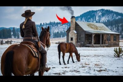 Caballo herido guió a la vaquera hasta una cabaña remota – El secreto dentro la dejó en shock