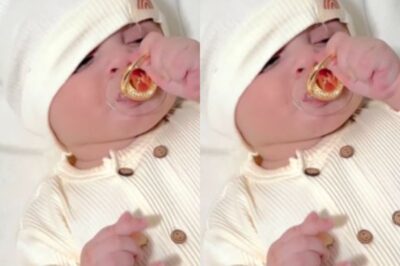 Radmehr derrite corazones en redes. El tierno video que conquistó a miles, desde Despierta América