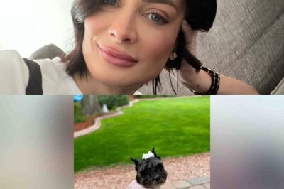 Dayanara Torres de luto: se despide entre lágrimas de un ser muy querido