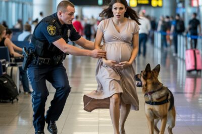 MI MARIDO ME ABANDONÓ EN EL AEROPUERTO PORQUE UN PERRO POLICÍA ME LADRABA. CUANDO DESCUBRIERON LO QUE ESCONDÍA BAJO MI VESTIDO, TODOS QUEDARON HELADOS.