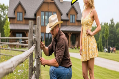 PADRE SOLTERO FUE A REPARAR LA CERCA DE LA VECINA… SIN SABER QUE ELLA ERA DUEÑA DE MEDIA CIUDAD