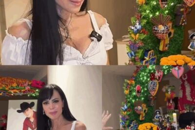 ¡Nos hizo llorar! Maribel Guardia comparte un conmovedor mensaje para su hijo en el Día de Muerto5.
