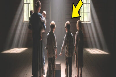 Madre Soltera Heredó Casa Antigua En El Bosque — Y Su Hijo Descubrió US$5,5M