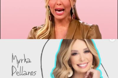 Myrka Dellanos fue despedida de Telemundo por este comentario sobre los Mexicanos.