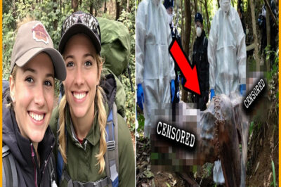 Chicas Desaparecieron Acampando — 3 años después halladas COSIDAS entre sí de forma ATERRADORA…
