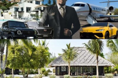 Conoce la mansión en Rancho Arriba, RD, del Mayimbe Antony Santos