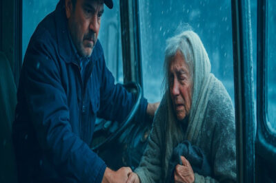 Un conductor de autobús recoge a una anciana congelada… y al día siguiente recibe su testamento
