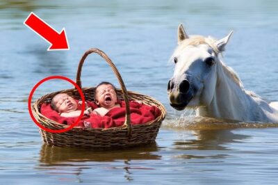 HOMBRE RICO ARROJA A SUS GEMELOS RECIÉN NACIDOS AL RÍO, pero lo que hace el CABALLO después…
