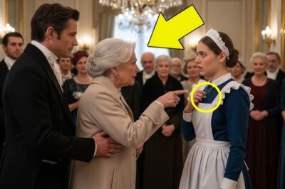 “Ese collar es de mi hija”, gritó la millonaria al descubrirlo en la sirvienta… La verdad sorprende.