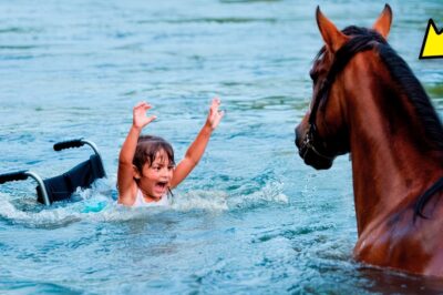 HOMBRE RICO EMPUJA A SU HIJA EN SILLA DE RUEDAS A LA CORRIENTE, pero lo que hace el CABALLO después.