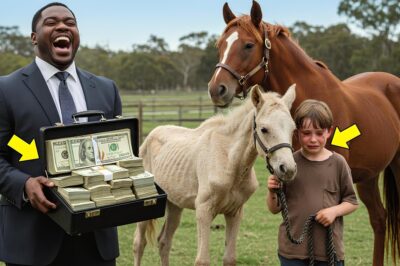 8 MILLONES SI GANAS A MI MEJOR CABALLO… DIJO EL MILLONARIO AL NIÑO HUMILDE PERO ÉL SORPRENDIÓ
