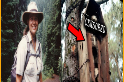 Turista desapareció en Parque Olímpico — 2 años después su ATAÚD hallado colgando de un ÁRBOL…