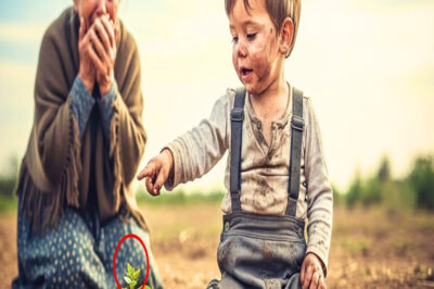 Todos se burlaban de su RUINA, hasta que un niño descalzo tocó la tierra… y ocurrió el MILAGRO