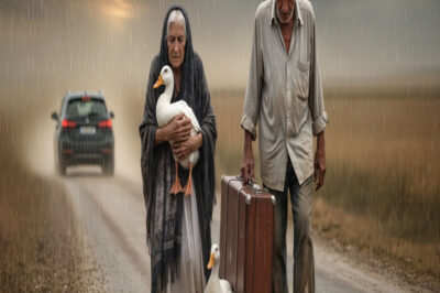 Los dejaron en medio de la nada, con el agua calando hasta los huesos y una maleta vieja como único testigo. Nadie imaginó que aquel cuero agrietado guardaba un mapa hacia la dignidad. Lo que vino después mezcló abogados sin escrúpulos, una comunidad que se activó como familia, dos patos que irrumpieron como ángeles con plumas, y una decisión que rompió el ciclo de crueldad. Aquí comienza el camino de Lucía y Ramón: del abandono a la justicia, de la furia a la compasión.