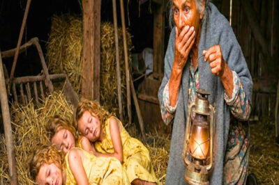 El rugido parecía animal, pero no tenía piel ni colmillos: era fuego, devorando una casa de madera y años de recuerdos. Bianca reptó con el camisón empapado y los ojos ardiendo, buscando tres pares de ojos miel que la esperaban en una esquina. Afuera, voces con gasolina y odio. Adentro, la trampilla al sótano como única oración que todavía respondía. Aquella noche no empezó en las llamas; empezó tres días antes, con lluvia sobre lámina roja y una puerta de granero que no debía estar abierta. Ahí, la soledad de una viuda conoció a sus hijas del alma.