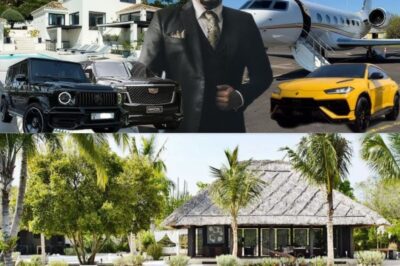 Conoce la mansión en Rancho Arriba, RD, del Mayimbe Antony Santos