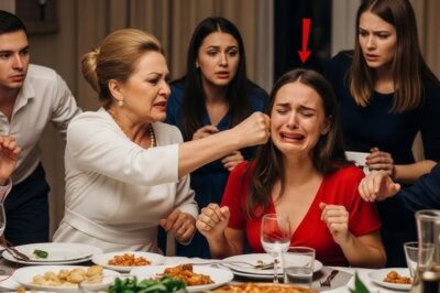 MI SUEGRA ME GOLPEÓ EN EL DÍA DE LAS MADRES, PERO NO CONTABA CON LO QUE VENDRÍA DESPUÉS…