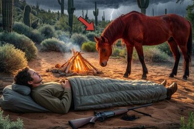 Ranchero pagó 25 $ por terreno desértico «inútil» – un caballo hambriento apareció y lo cambió todo.