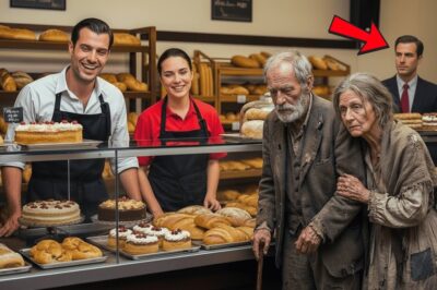 “¿Tendrías Un Pastel Caducado Para Mi Esposa?” Preguntó El Sintecho… Pero El Millonario Lo Vio Todo…