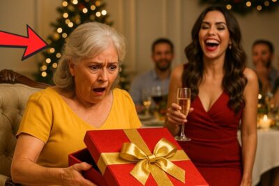 CUANDO ABRÍ EL REGALO DE NAVIDAD QUE MI NUERA ME DIO, VIVÍ LA MAYOR HUMILLACIÓN DE MI VIDA PERO ELLA