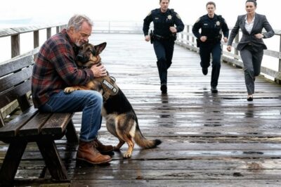 La policía ordenó a un perro policía que atacara a un veterano anciano, ¡pero la reacción del perro lo cambió todo!