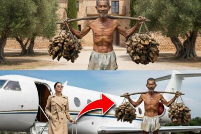 ¡LA MILLONARIA REGRESA POR SU HERMANO MAYOR QUE LA EDUCO, Y SE SORPRENDE CON LO QUE DESCUBRE!