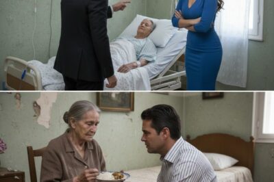 Cada mes ingresaba 20.000 euros y se los daba íntegros a su esposa para que los administrara. El día que su madre enfermó y necesitaba 100.000 euros para una operación urgente, él llamó a su mujer y ella le gritó: “¿Tu madre se opera y por eso me pides dinero a mí?”