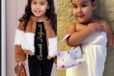 La consentida de la abuelita: Cattleya enamora a todos.