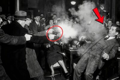 “Lucky Luciano fue baleado seis veces por tres sicarios. Lo que les envió a la mañana siguiente sacudió al mundo de la mafia.”