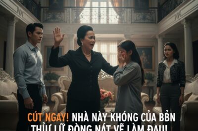 “Mi suegra canceló la boda por el trabajo de mi madre: ‘No ruego por nuera de clase baja’.”