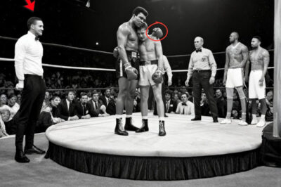 El peso de los puños rotos