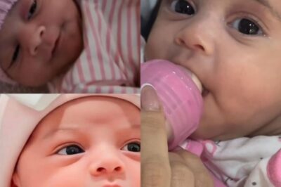 Tan pequeña y tan independiente. Mira cómo Dominique sorprende a todos.