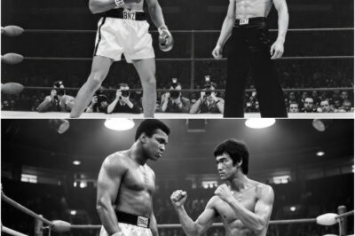 Bruce Lee fue llamado al ring por Muhammad Ali y le dijo Golpéame 3 segundos después, hizo historia…