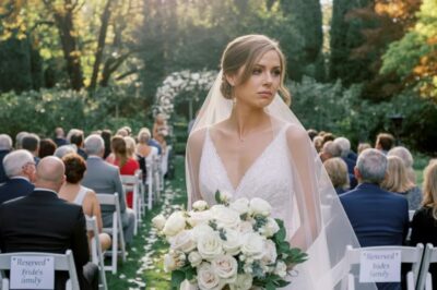 El día de mi boda, me quedé mirando diez sillas vacías en el lado de la novia: el veredicto silencioso de mi familia. Mi madre siseó por el teléfono: «Eres una vergüenza. No nos llames nunca más». La voz de mi padre fue aún más fría: «Eres una deshonra para esta familia». Ahora mi empresa, valuada en millones, aparece en revistas y titulares, y de pronto mi padre llama como si nada hubiera pasado: «Vuelve a casa. Reunión familiar». Cree que regreso para suplicar… pero lo que llevo conmigo es la verdad que ellos enterraron.