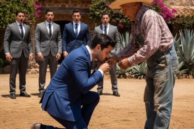 Tres hermanos exitosos despreciaron a su hermano campesino… hasta que el abogado leyó una sola línea en el testamento que les heló la sangre