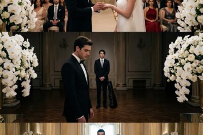 EN SU PROPIA BODA, EL NOVIO LE PUSO EL ANILLO A SU PRIMA… Y ENTONCES EL REY ALFA ENTRÓ AL SALÓN SOLO PARA BUSCARLO A ÉL